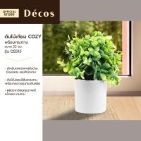ราคา DECOS ต้นไม้เทียม พร้อมกระถาง 22 ซม COZY รุ่น DS513 EA (18953656930)