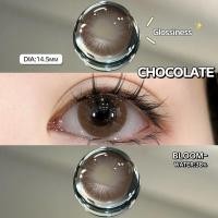 ราคา COD FUNSACHY คอนแทคเลนส์ Black Brown Gray Blue ขนาด14 0 14 2 14 5mm คอนแทคเลนส์ตาโต (20149624371)