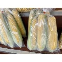 ราคา สดใหม่จากสวน ข้าวโพดหวานสด แพ็ค 3 ฝัก ราคา ถูก ส่ง (21015736109)