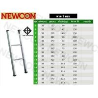 ราคา Newcon บันไดพาด 1 ตอน ขนาด 20 ฟุต 6 เมตร หนา 2 มม รับนน 150 กก ส่งฟรี (21052519097)
