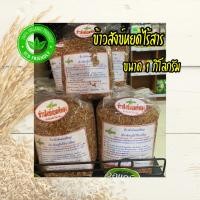 ราคา ข้าวสังข์หยดพัทลุง แท้ 100 ขนาดบรรรจุ 1 กิโลกรัม ข้าวสังข์หยดไร้สาร (19480821154)