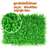 ราคา หญ้าตีนเป็ด หญ้ามิลาน ยูคา แผงหญ้าเทียม ตกแต่งผนัง ขนาด40x60cmหญ้าติดผนัง มแต่งร้านแต่งคาเฟ่ กำแพงสวนรั้วต้นไม้ปลอม หญ้าเทียมตกแต่งผนัง (20993050255)