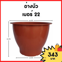 ราคา กระถาง จานรอง กระถางต้นไม้ อ่างบัว กระถางบัว เบอร์ 20 22 นิ้ว สีดำ สีขาว สีอิฐ สีเขียว (20883059094)
