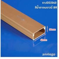 ราคา รางเก็บสายไฟ สีขาว สีครีม สีน้ำตาล สีดำ ยี่ห้อ PRI รุ่น DD PRI Type DD ยาว 1 เมตร (17243070105)