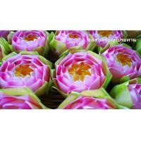 ราคา เหรียญโปรยทานดอกบัวสวรรค์ (19373054846)