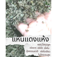 ราคา แหนแดง แหนแดงเกษตร แหนแดงตากแห้ง ผลิตจากแหนแดงไมโครฟิลล่า เร่งราก เร่งโต เร่งใบ ปุ๋ยธรรมชาติ พืชใบเขียว ไนโตรเจนสูง ปุ๋ยยูเรีย (15581116185)