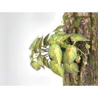 ราคา พร้อมส่ง ต้นไม้ปลอมสำหรับตกแต่งสวนต้นไม้ปลอมแขวนผนังลายนกยูงเต่าใบบีโกเนียบ้านระเบียงเถาดอกไม้สีเขียวกระถางหญ้า (20468334075)