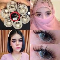 ราคา คอนแทคเลนส์ บิ๊กอาย รุ่น Oh soul สีเทา ตาล Gray Brown By pitchy lens มีสายตา 0 00 10 00 (16278160387)