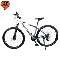 ราคา มาใหม่ สีสวย จักรยานเสือภูเขา RICHTER รุ่น BOZA 29 นิ้ว (18914618035)