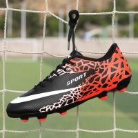 ราคา Pioneer Land Mall Free Shipping ส่งฟรี รองเท้าฟุตบอลชาย 2022 ฟุตบอลโลก Cristiano Ronaldo Messi รองเท้าฟุตบอลสีขาวบดขยี้หนามแหลมสําหรับเด็ก (16693483702)