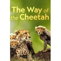 ราคา หนัง DVD ออก ใหม่ Big Cat Week The Way of the Cheetah 2022 เสียง อังกฤษ ซับ ไทย ฝัง DVD ดีวีดี หนังใหม่ (19294191361)