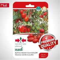 ราคา เมล็ดพันธุ์ มะเขือเทศ เชอร์รี่เรดดี้ 50 เมล็ด ตราศรแดง ต้นไม้ เมล็ดผัก เมล็ดดอกไม้ ผัก ผักสวนครัว สลัด เมล็ดพันธุ์พืช (10038718754)