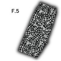 ราคา พร้อมส่ง กางเกงเลคกิ้งขาสั้น3ส่วน By Harryne (21150603469)