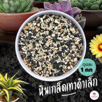 ราคา ถุงละ 1 กก หินเกล็ดเทาดำเล็ก หินโรยหน้ากระถาง แคคตัส กระบองเพชร ไม้อวบน้ำ (4721810177)