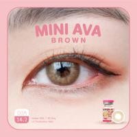 ราคา คอนแทคเลนส์ คิตตี้ คาวาอิ Mini Ava Brown (16786856397)