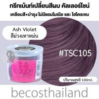 ราคา Top Secret Color Shine Hair Color Treatment 100ml ทรีทเม้นท์เปลี่ยนสีผม เคลือบสีสวย ผมไม่เสีย ไม่มีแอมโมเนีย (18331733796)