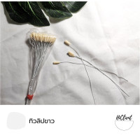 ราคา เกสร เกสรดอกไม้ เกสรดอกไม้ประดิษฐ์ แบบก้านลวด มีหลายชนิด (9449959462)