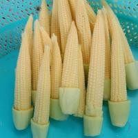 ราคา เมล็ดพันธุ์ ข้าวโพดฝักอ่อน ข้าวโพดอ่อน 300 เมล็ด 10 แถม 1 คละได้ (10225989640)