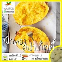 ราคา เมล็ดพันธุ์ ฟักทองสปาเก็ตตี้ 10 เมล็ด spaghetti squash Seed เมล็ดพันธุ์แท้ นำเข้าจากต่างประเทศ ปลูกผัก สวนครัว ถูกดี ฟักทอง (4037554822)