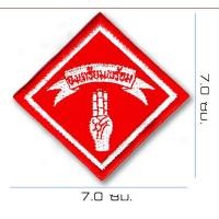 ราคา อาร์มเครื่องหมายลูกเสือเนตรนารี (20569356021)