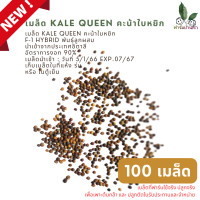 ราคา เมล็ดพันธุ์ เมล็ดเคล เคล เคลใบหยิก 100 เมล็ด นำเข้า Kale QuEEN คะน้าใบหยิก F 1 HYBRID พันธุ์ลูกผสม นำเข้าจากประเทศอิตาลี มีคู่มือแนะนำการเพาะ (18962162611)