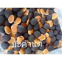 ราคา 50 เมล็ด เมล็ดพันธุ์ มะค่าแต้ แต้ มะค่าหยุม มะค่าแต้ หรือมะค่าหนาม ไม้ป่าเศรษฐกิจ เนื้อไม้สวย เริ่มจะหายาก (4524250554)