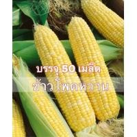 ราคา ข้าวโพดหวาน เมล็ดพันธุ์ข้าวโพดหวาน ข้าวโพด สวีท ข้าวโพดซุปเปอร์ ฝักใหญ่ 50 เมล็ด (7860005175)
