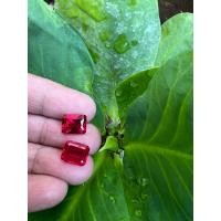 ราคา Lab Ruby Octagon 8x6mm 2pcs Lab Ruby Octagon 8x6mm 2pcs ทับทิม Lab Ruby OCTAGON 8X6 มิลลิเมตร สีแดง ทับทิม รูบี้ เหลี่ยมชั้น 2 เม็ด สังเคราะห์ (17437863623)