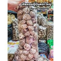 ราคา เห็ดหอมญี่ปุ่น ดอกใหญ่ ปริมาณ 1กิโลกรัม ถุง รับประกันดอกอวบๆ ใหญ่ อร่อย หอม สด ใหม่ ตุ๋น ต้ม ทอด ผัด อร่อยเต็มปากเต็มคำ (423213010)