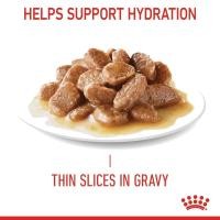 ราคา Royal canin Kitten pouch Gravy jelly Loaf 85g x 12 ซอง อาหารเปียกลูกแมว มีหลายเนื้อสัมผัสให้เลือก (20386923153)