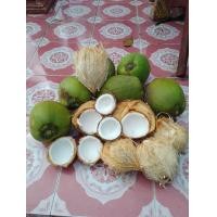 ราคา มะพร้าวน้ำหอมทึนทึก มะพร้าวแก่ ขูดโรยหน้าขนม (21055280886)