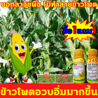 ราคา ข้าวโพดอวบอิ่มมากขึ้น ยาฆ่าหญ้าข้าวโพด สารกำจัดวัชพืช 100ml เข้มข้นสุดๆ ฆ่าหญ้ารอบข้าวโพด ฆ่าหญ้าข้าวโพด กำจัดหญ้าในไร่ข้าวโพด ยาชุดข้าวโพด กำจัดวัชพืชเท่านั้น ไม่ทำลายข้าวโพด ฆ่าหญ้ารอบข้าวโพด ยาฉีด 