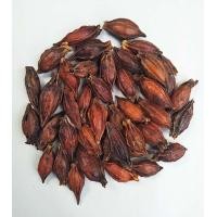 ราคา เม็ดพุดจีน เม็ดพุด เครื่องเทศ สมุนไพร สำหรับประกอบอาหาร เครื่องดื่ม (12858461350)