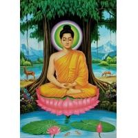 ราคา ภาพพระพุทธเจ้าปางประจำวันเกิดทั้ง7วันและ ปางประสูติ ตรัสรู้ ปรินิพาน และปางประทานพร ภาพเคลือบมันอย่างดีสีสวยสดใสขนาด15X20นิ้ว (15270269517)