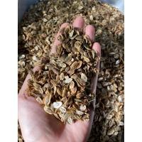 ราคา เทียนตาตั๊กแตน เครื่องเทศปรุงอาหารไทย ช่วยเพิ่มรสชาติให้หอมมากขึ้น เป็นสมุนไพร (15628057845)