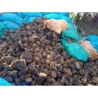 ราคา เห็ดกระถินพิมาน เห็ดกระถินพิมานแห้ง เป็นชิ้น ไม่ใช่ผง เห็ดพิมาน มหัศจรรย์ เพราะ เห็ดกระถินพิมาน (8053742632)