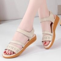 ราคา SCHOLL รองเท้าสตรีปาล์มโคฟรองเท้าสตรีรองเท้าส้นเตี้ย ZFXG51M3 (21023197208)