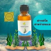 ราคา สารสกัดสาหร่ายทะเล Seaweed Extract สารสกัด สาหร่าย ชุ่มชื้น บำรุงผิว ขนาด 30 กรัม 100 กรัม (15237365415)