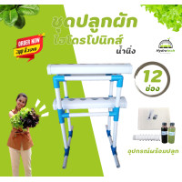 ราคา ชุดปลูกผักไฮโดรโปนิกส์ น้ำนิ่ง 12ช่อง แนวตั้ง (13752709862)