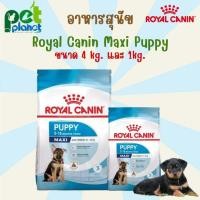 ราคา 4kg 1kg อาหารสุนัข Royal Canin Maxi Puppy โรยัลคานิน อาหารสำหรับ สุนัข ลูกสุนัข หมา ลูกหมา อาหารสุนัขสายพันธ์ใหญ่ ขนมสุนัข (19556111126)