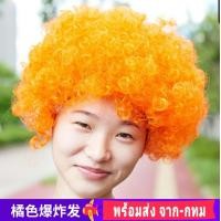 ราคา L L พร้อมส่งจาก กทม วิกปลอม วิกแอฟโฟร่ วิก แอฟโฟร่ หัวฟู ผมฟู เจ้าเงาะ เงาะป่า วิกเงาะ วิกผมหยิก วิกคอสเพลย์ คอสเพล ผมปลอม ผม (12111801504)