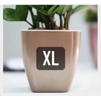 ราคา Sixtyfivehouseกระถาง กระถางต้นไม้ แบบ เก็บ น้ำ ได้ รด น้ำ อัตโนมัติ สีเงิน สีโรสโกลด์ สีทอง (9859431303)