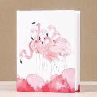 ราคา อัลบั้มใส่รูป 4x6 นิ้ว อัลบั้มรูป อัลบั้มการ์ด โปสการ์ด 2 ช่อง ใส่รูป 4x6 นิ้ว แบบใส จุได้ 100 รูป (19298139318)