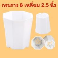 ราคา กระถาง 8 เหลี่ยมทรงสูง 2 5 นิ้ว กระถางแคคตัสพลาสติก แปดเหลี่ยม ทรงสูง หนา ทดทาน ปลูก กระบองเพชร ต้นไม้ ขนาดเล็ก สีขาว (4893248583)