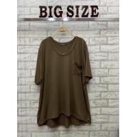 ราคา เสื้อผ้าสำหรับสาวอวบอ้วนบิ้กไซร์ รหัส 21 เสื้อผ้าแฟชั่น เสื้อผู้หญิง เสื้อแฟชั่น เสื้อผ้าคนอ้วน เสื้อผ้าคนอวบ Beshop Bigsize (16259685754)
