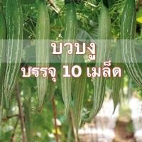 ราคา เมล็ดพันธุ์ บวบงู บวบงู อินคา 10 เมล็ด (15520123122)