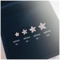 ราคา ต่างหูเงินแท้92 5 เพชรczรูปดาว (17698299543)