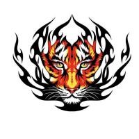 ราคา ตัวรีดติดลายเสื้อ TK 37 ลายเสือ หน้าเสือ ลายติดเสื้อ เท่ห์ๆๆ แผ๋นฟิล์มรีดร้อน (19939604442)