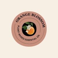 ราคา Divana Essential Oil Signature Collection 15ml ดีวานา น้ำมันหอมระเหย 15 กลิ่น กลิ่นจากสปาดีวานา (19960612915)