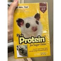 ราคา นมชูการ์ไกลเดอร์ นมสัตว์เลี้ยง ชูการ์ไกรเดอร์ ชูก้า กระรอก (17447671248)